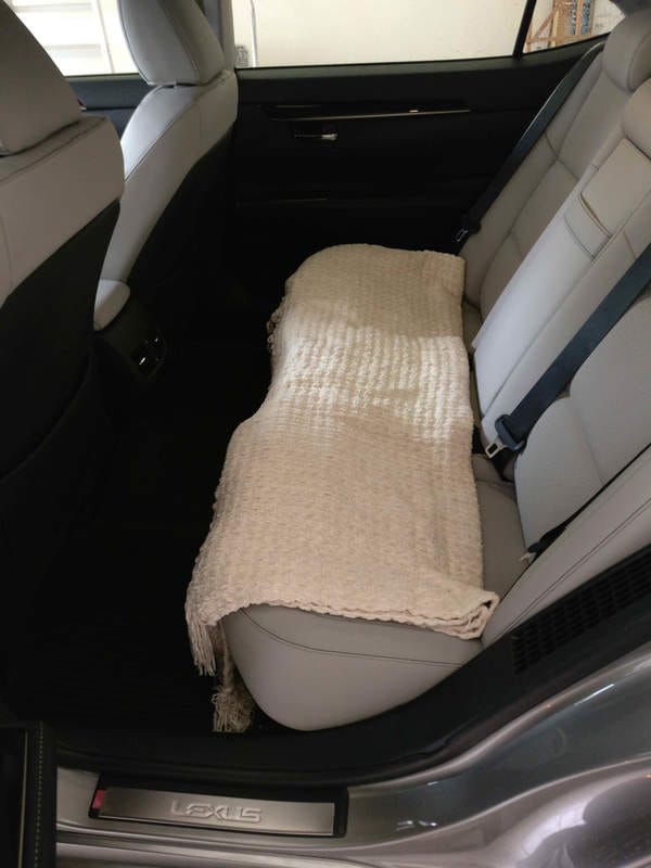 Spacious backseats in the 2017 lexus es300h